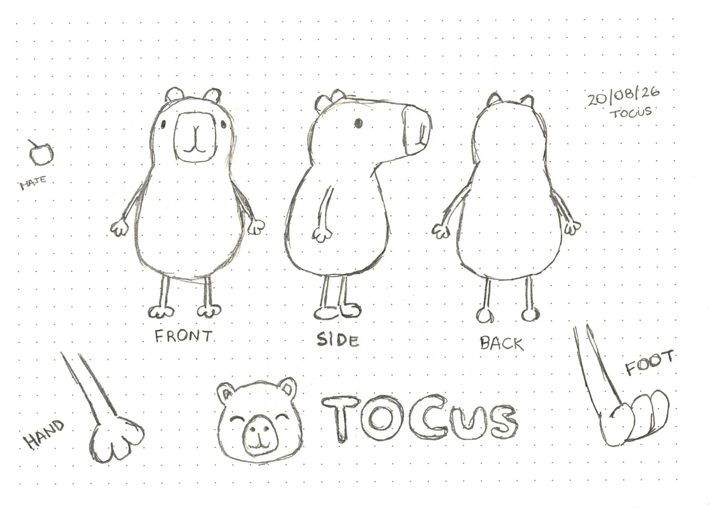 A pencil character sheet dated 20/08/26 with the capybara from the front, the side, and the back, a hand, a foot, a mate, and the TOCus logo.